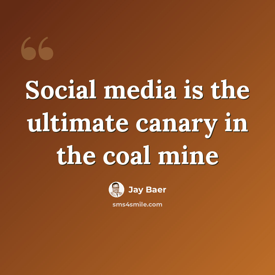 “Social media is the ultimate canary in the coal mine” quote by Jay Baer