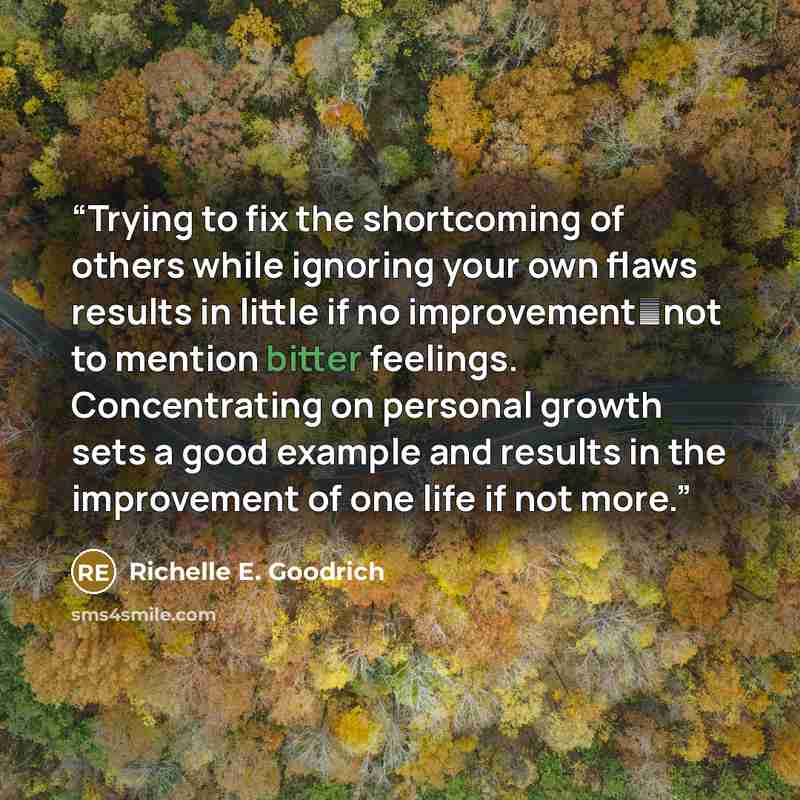 “Trying to fix the shortcoming of others while ignoring your own flaws results in little if no improvement―not to mention bitter feelings. Concentrating on personal growth sets a good example and results in the improvement of one life if not more.” quote by Richelle E. Goodrich