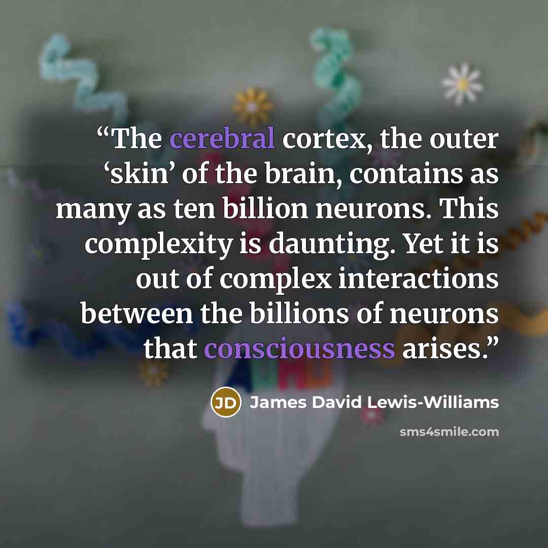 “The cerebral cortex, the outer ‘skin’ of the brain, contains as many as ten billion neurons. This complexity is daunting. Yet it is out of complex interactions between the billions of neurons that consciousness arises.” quote by James David Lewis-Williams