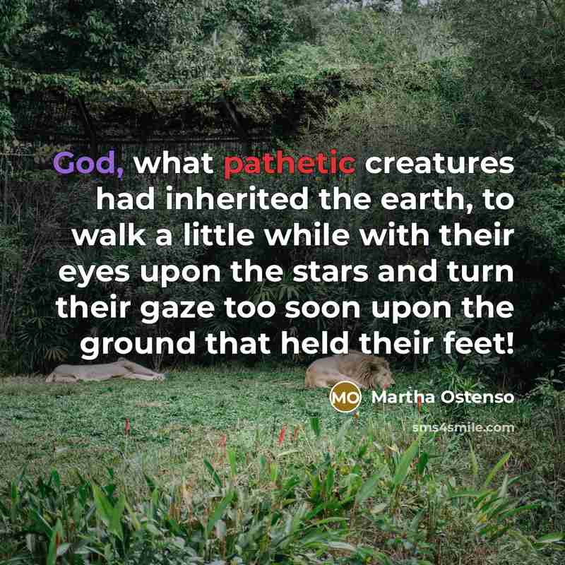 “God, what pathetic creatures had inherited the earth, to walk a little while with their eyes upon the stars and turn their gaze too soon upon the ground that held their feet!” quote by Martha Ostenso