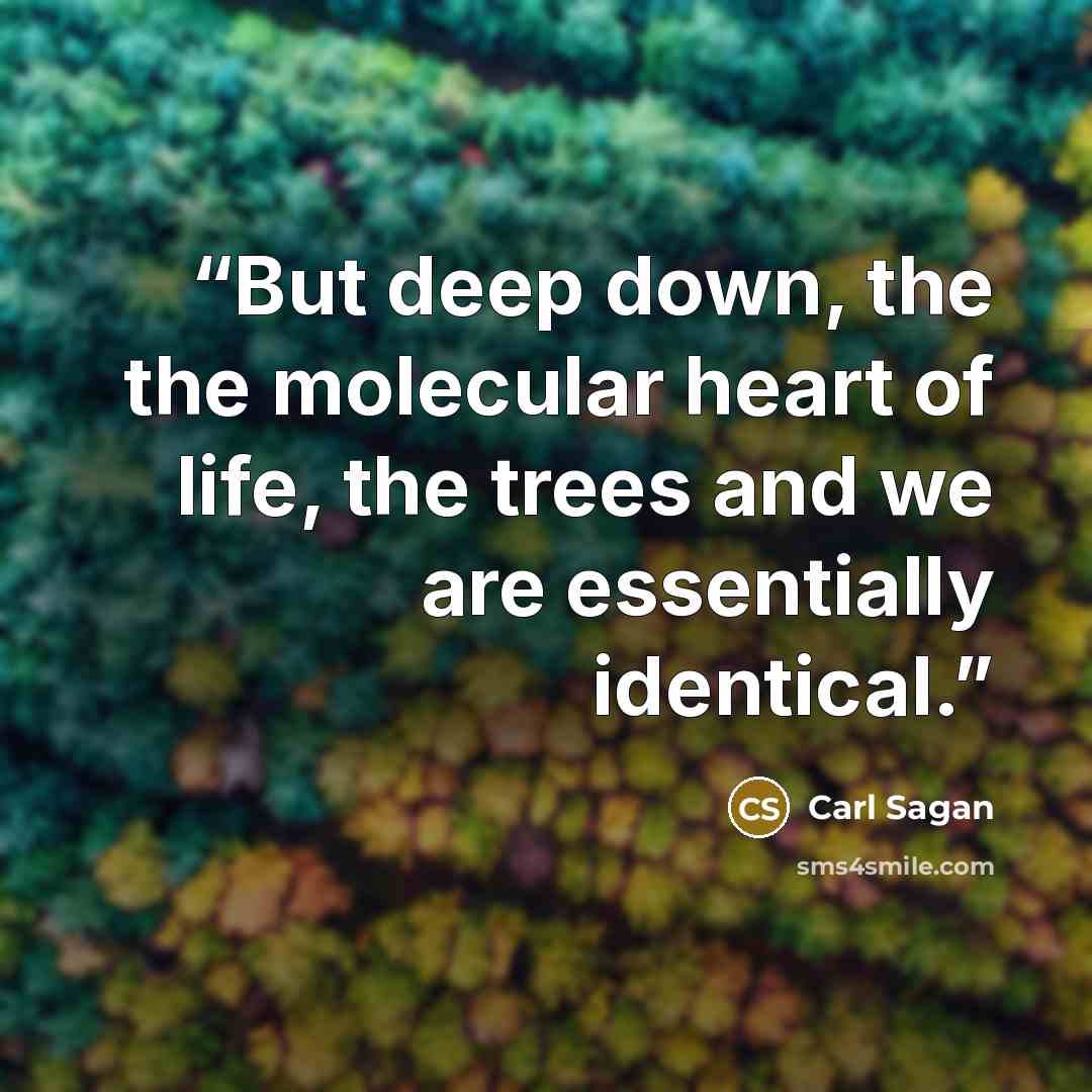 “But deep down, the the molecular heart of life, the trees and we are essentially identical.” quote by Carl Sagan
