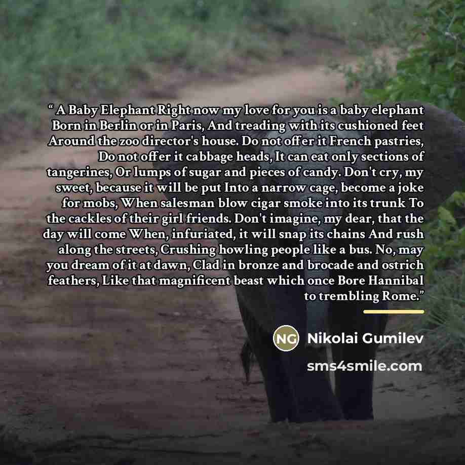 “A Baby Elephant Right now my love for you is a baby elephant Born in Berlin or in Paris, And treading with its cushioned feet Around the zoo director's house. Do not offer it French pastries, Do not offer it cabbage heads, It can eat only sections of tangerines, Or lumps of sugar and pieces of…” quote by Nikolai Gumilev