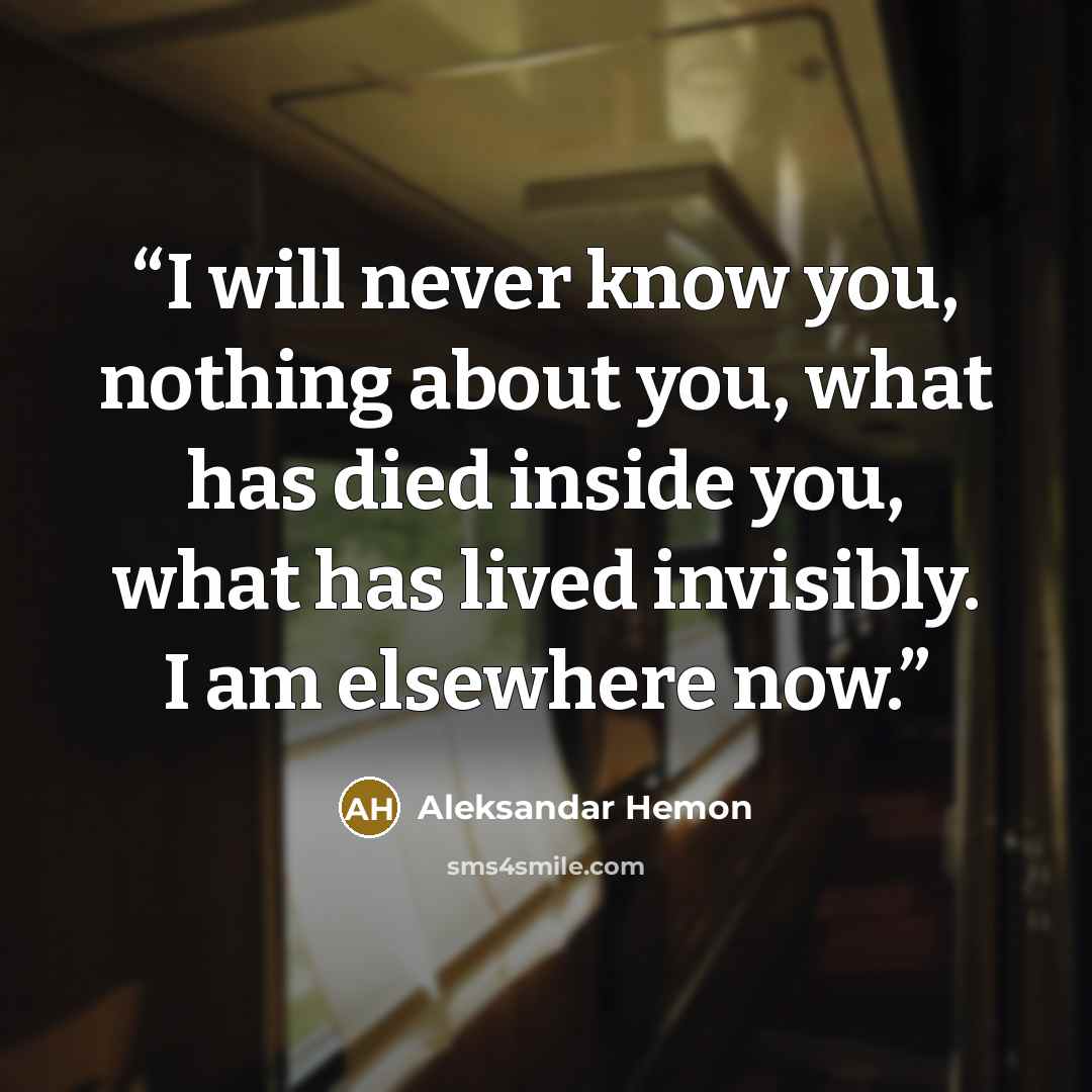 “I will never know you, nothing about you, what has died inside you, what has lived invisibly. I am elsewhere now.” quote by Aleksandar Hemon
