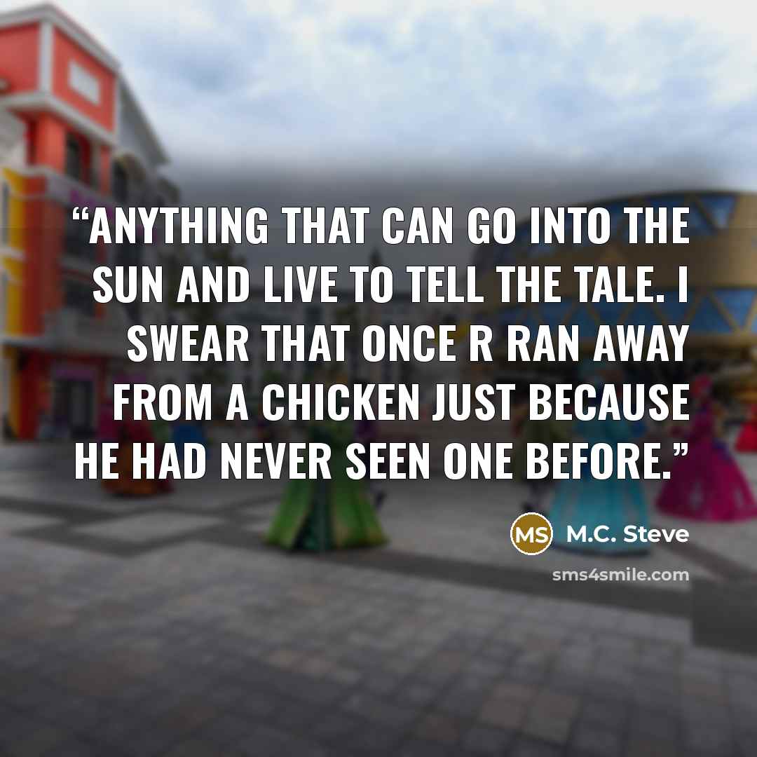 “anything that can go into the sun and live to tell the tale. I swear that once R ran away from a chicken just because he had never seen one before.” quote by M.C. Steve