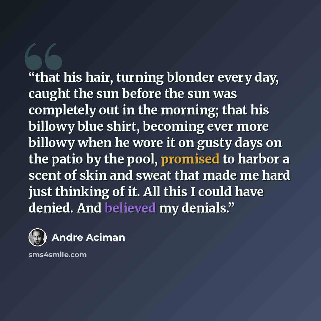 “that his hair, turning blonder every day, caught the sun before the sun was completely out in the morning; that his billowy blue shirt, becoming ever more billowy when he wore it on gusty days on the patio by the pool, promised to harbor a scent of skin and sweat that made me hard just thinking of…” quote by André Aciman