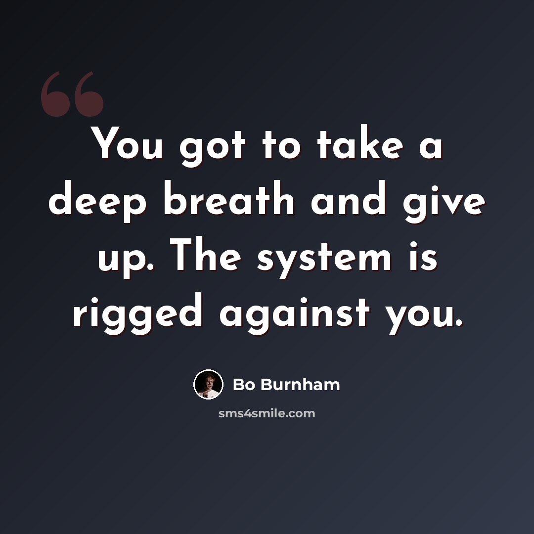 “You got to take a deep breath and give up. The system is rigged against you.” quote by Bo Burnham