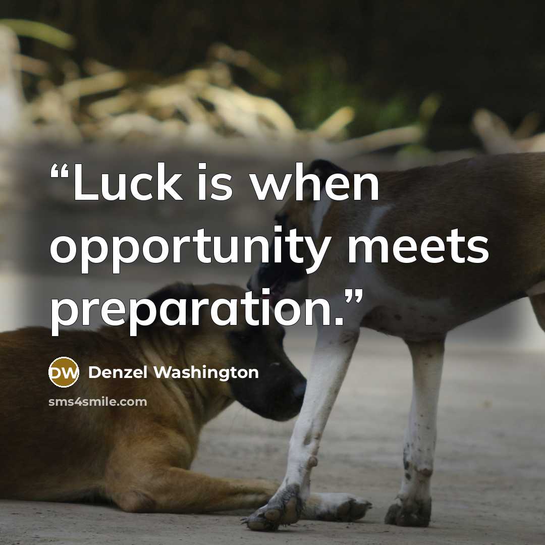 “Luck is when opportunity meets preparation.” quote by Denzel Washington