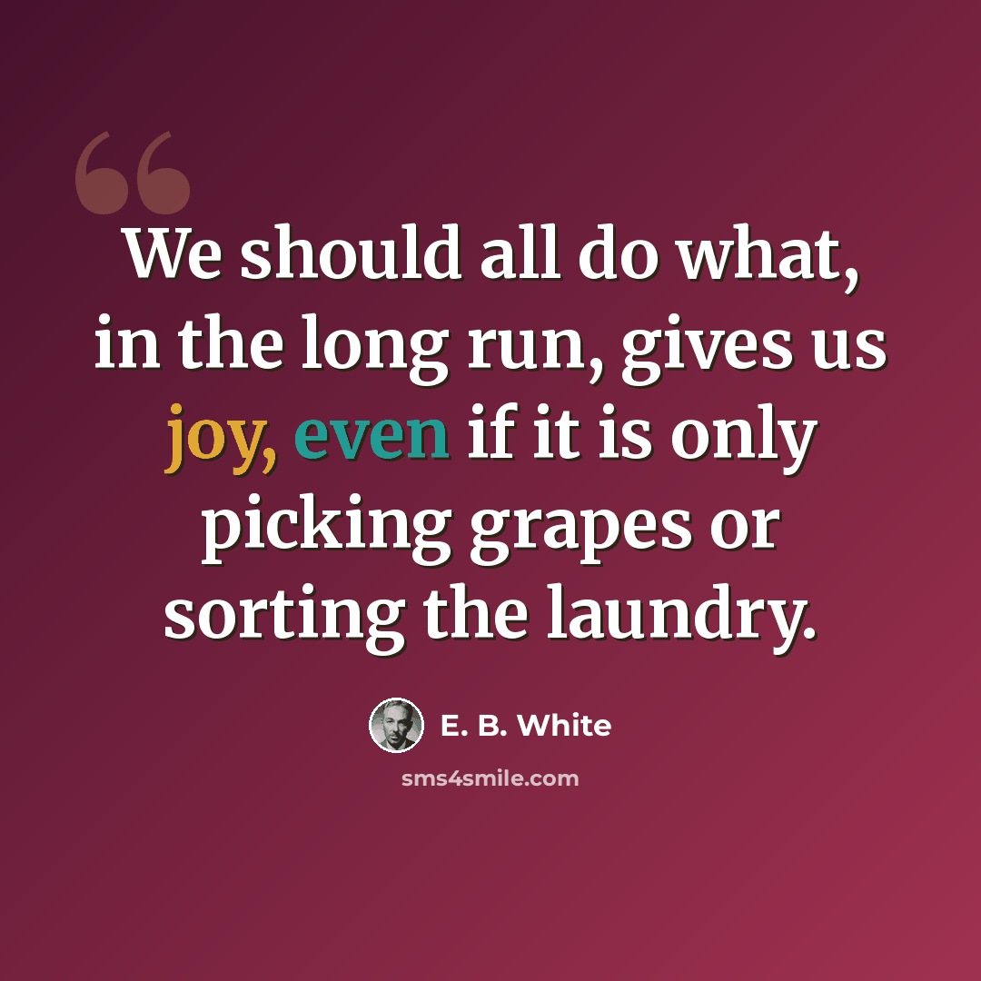“We should all do what, in the long run, gives us joy, even if it is only picking grapes or sorting the laundry.” quote by E. B. White
