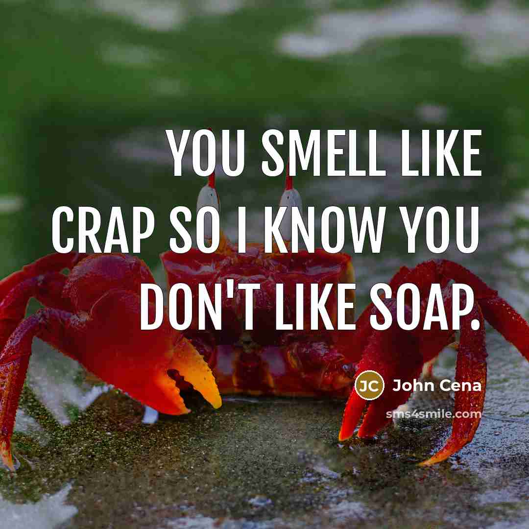 “You smell like crap so I know you don't like soap.” quote by John Cena