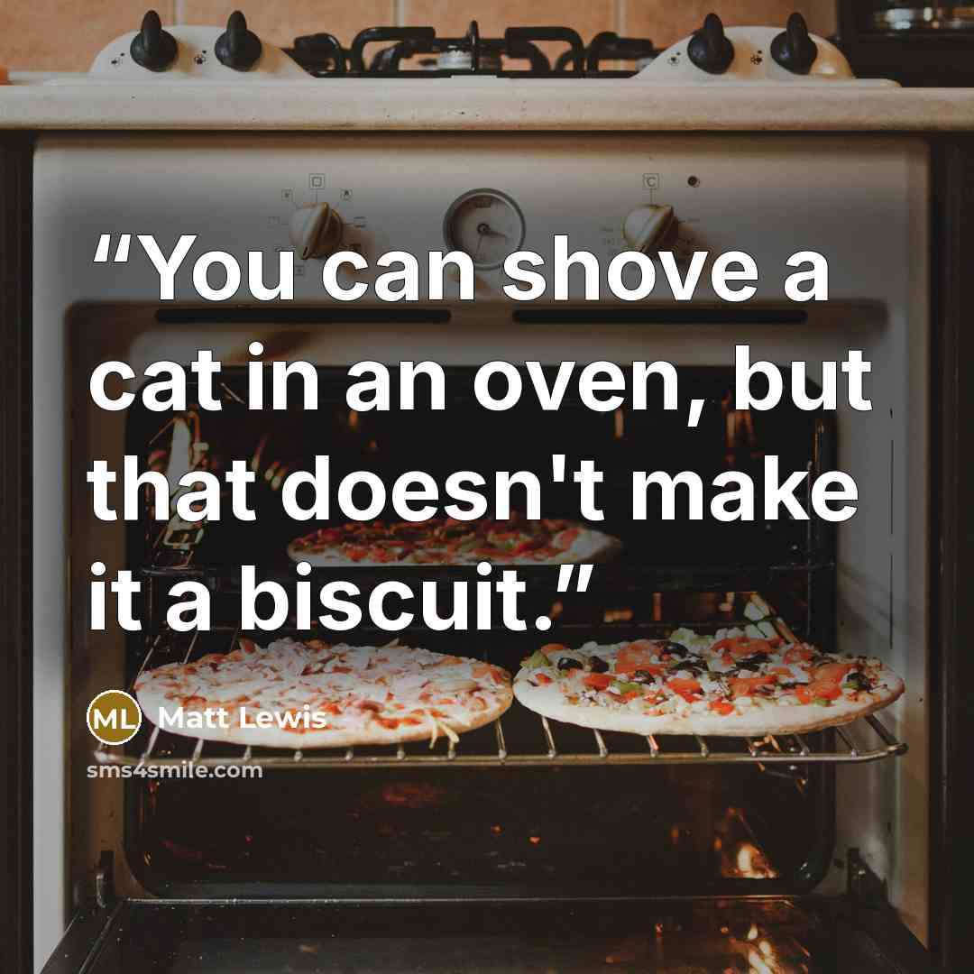 “You can shove a cat in an oven, but that doesn't make it a biscuit.” quote by Matt Lewis