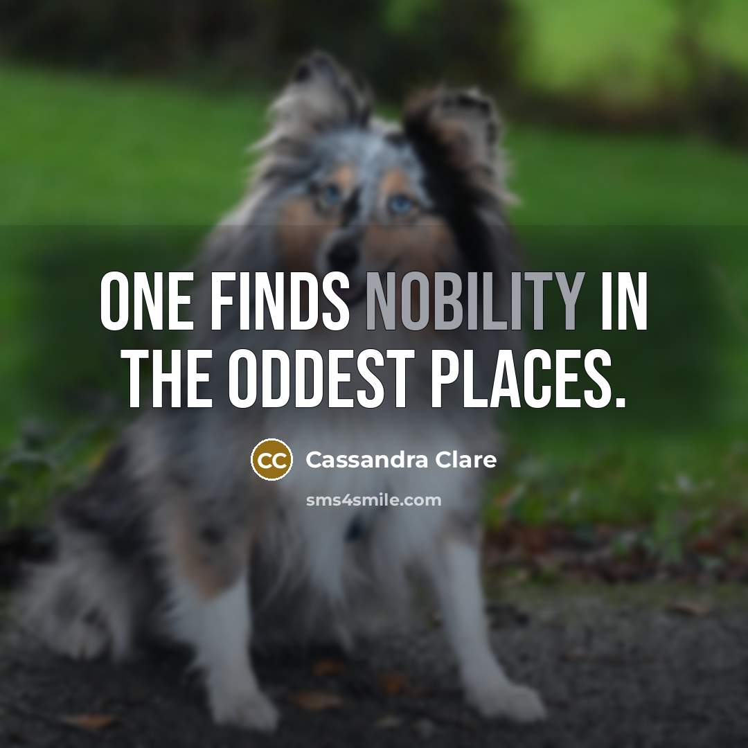 “One finds nobility in the oddest places.” quote by Cassandra Clare