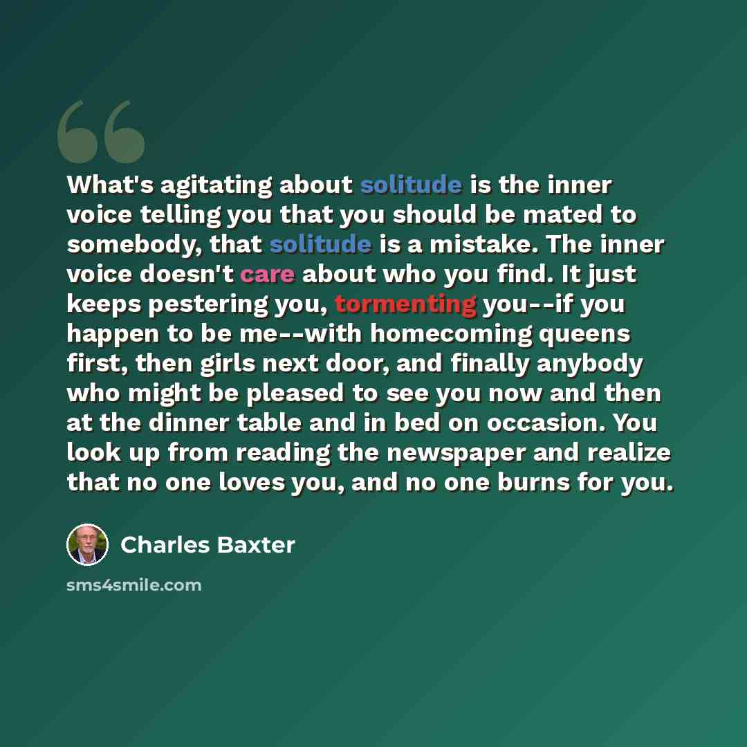 “What's agitating about solitude is the inner voice telling you that you should be mated to somebody, that solitude is a mistake. The inner voice doesn't care about who you find. It just keeps pestering you, tormenting you--if you happen to be me--with homecoming queens first, then girls next door…” quote by Charles Baxter