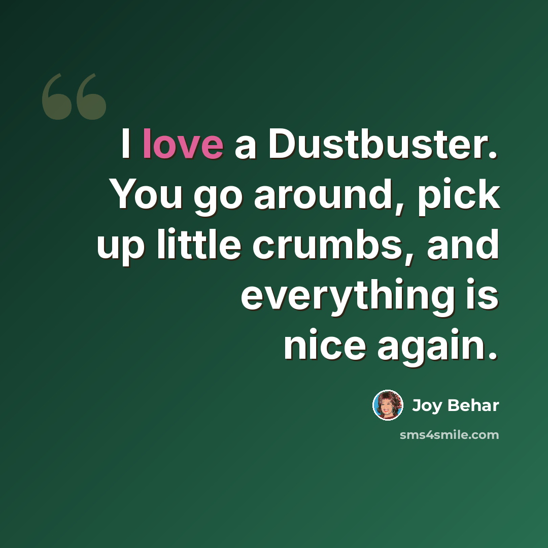 “I love a Dustbuster. You go around, pick up little crumbs, and everything is nice again.” quote by Joy Behar