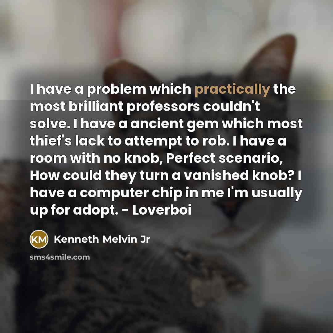 “I have a problem which practically the most brilliant professors couldn't solve. I have a ancient gem which most thief's lack to attempt to rob. I have a room with no knob, Perfect scenario, How could they turn a vanished knob? I have a computer chip in me I'm usually up for adopt. - Loverboi” quote by Kenneth Melvin Jr