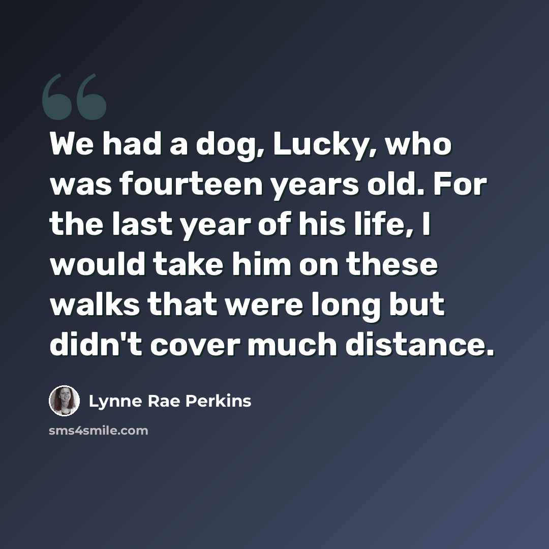 “We had a dog, Lucky, who was fourteen years old. For the last year of his life, I would take him on these walks that were long but didn't cover much distance.” quote by Lynne Rae Perkins