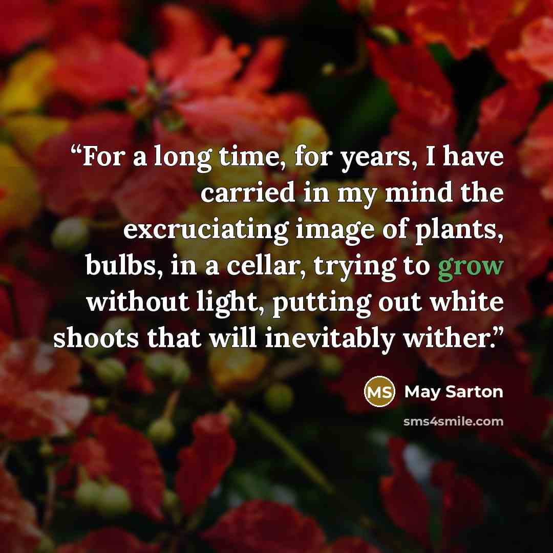 “For a long time, for years, I have carried in my mind the excruciating image of plants, bulbs, in a cellar, trying to grow without light, putting out white shoots that will inevitably wither.” quote by May Sarton