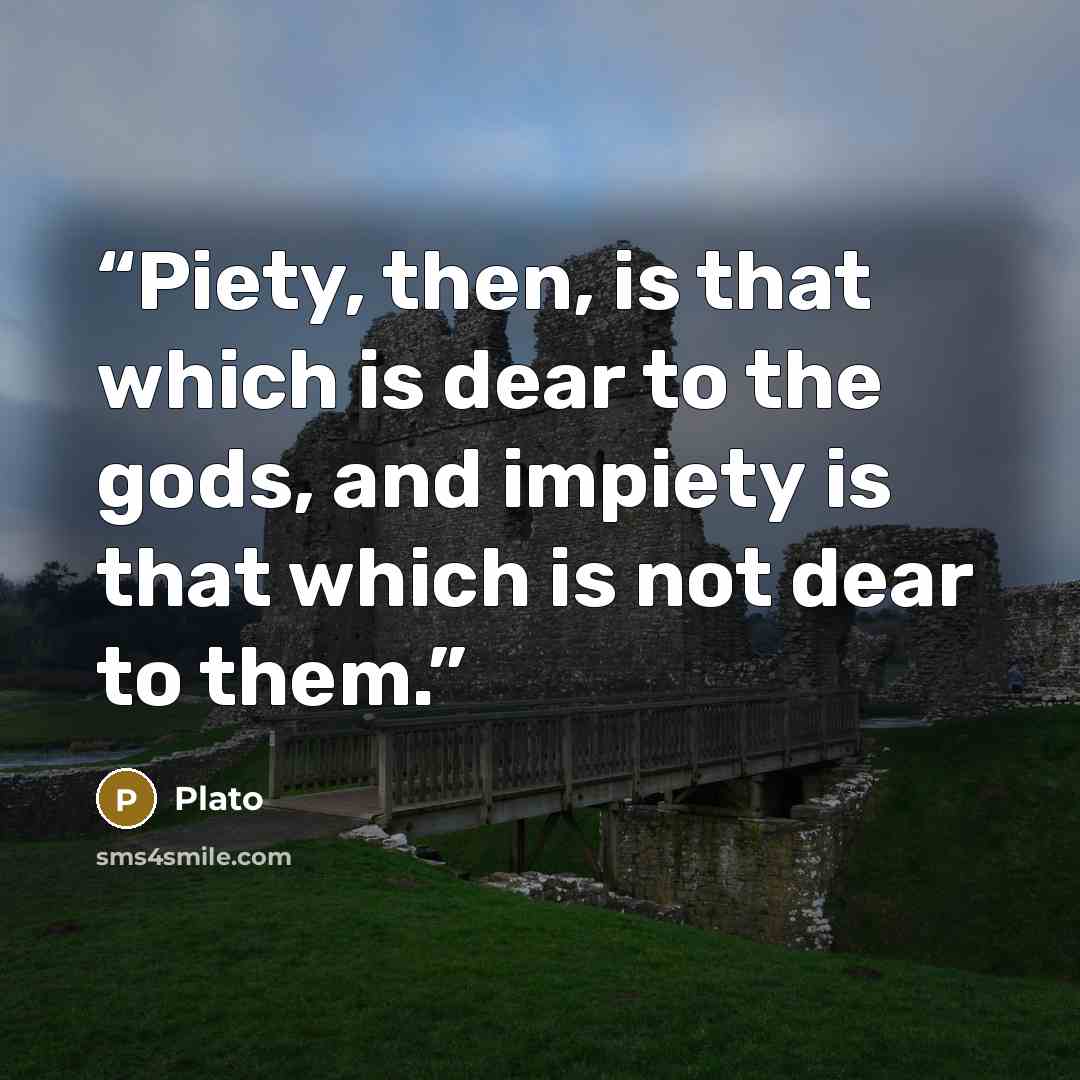 “Piety, then, is that which is dear to the gods, and impiety is that which is not dear to them.” quote by Plato