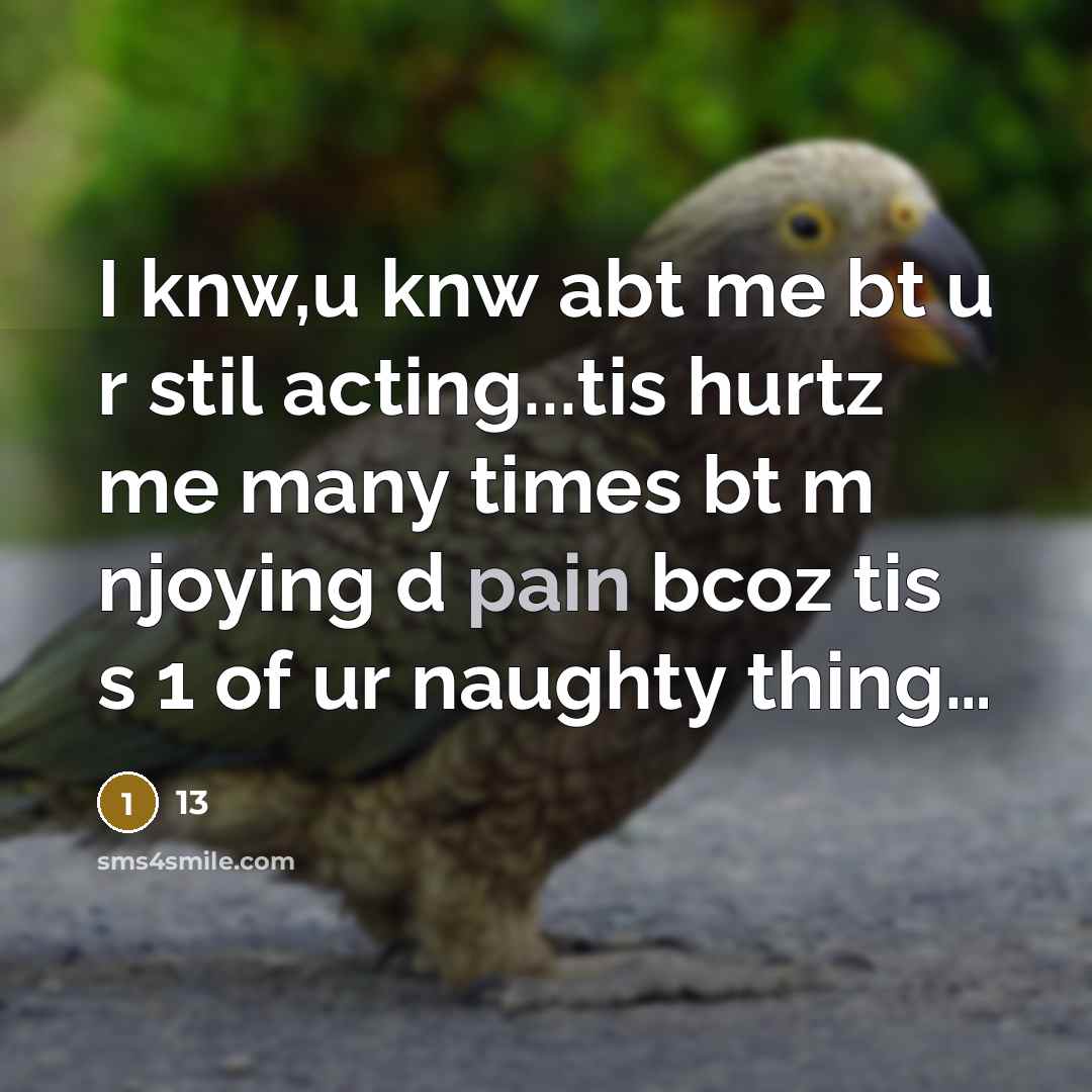 “I knw,u knw abt me bt u r stil acting...tis hurtz me many times bt m njoying d pain bcoz tis s 1 of ur naughty thing…” quote by 13
