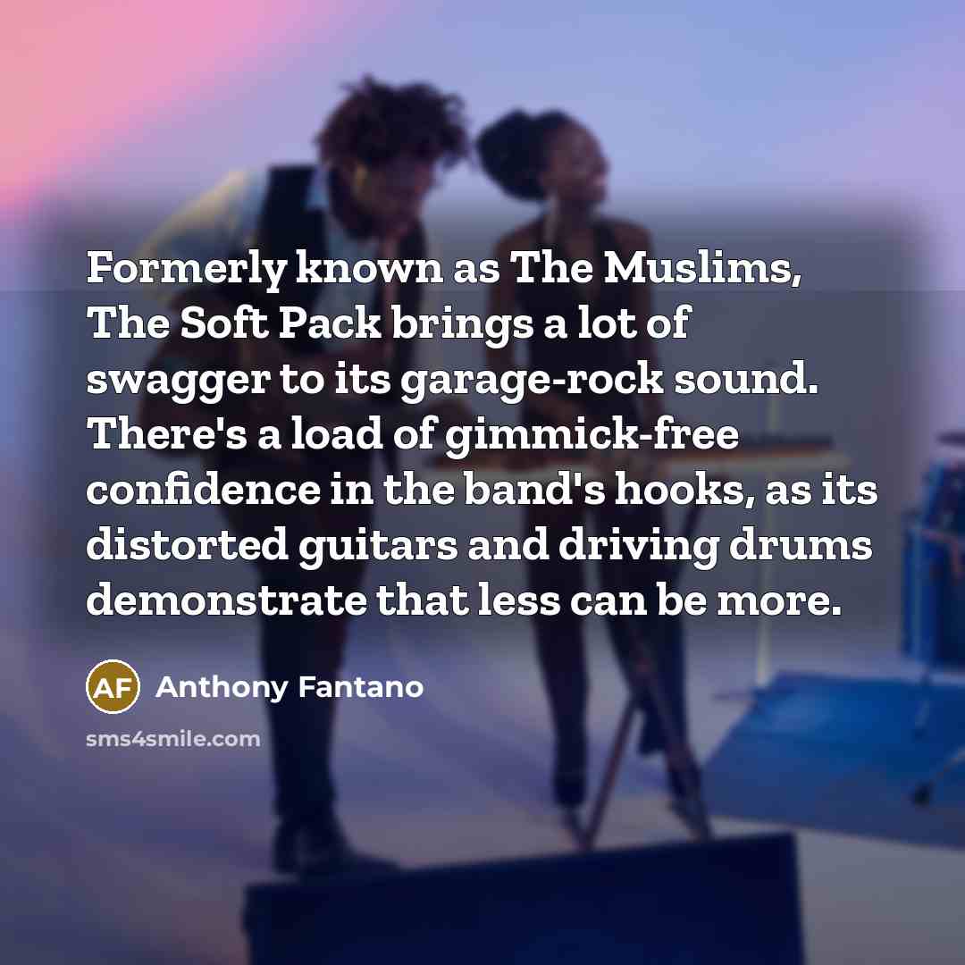 “Formerly known as The Muslims, The Soft Pack brings a lot of swagger to its garage-rock sound. There's a load of gimmick-free confidence in the band's hooks, as its distorted guitars and driving drums demonstrate that less can be more.” quote by Anthony Fantano