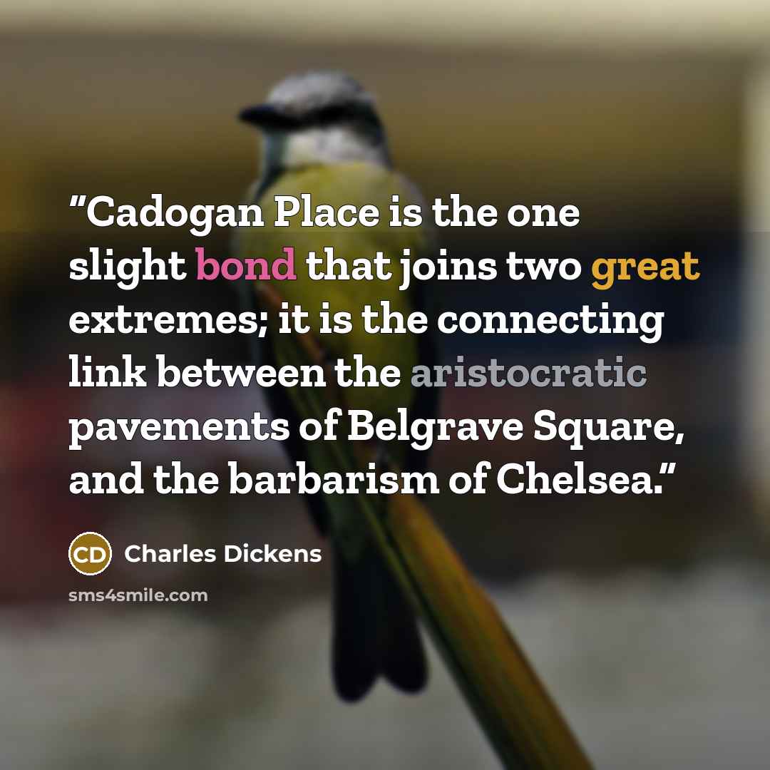 “Cadogan Place is the one slight bond that joins two great extremes; it is the connecting link between the aristocratic pavements of Belgrave Square, and the barbarism of Chelsea.” quote by Charles Dickens