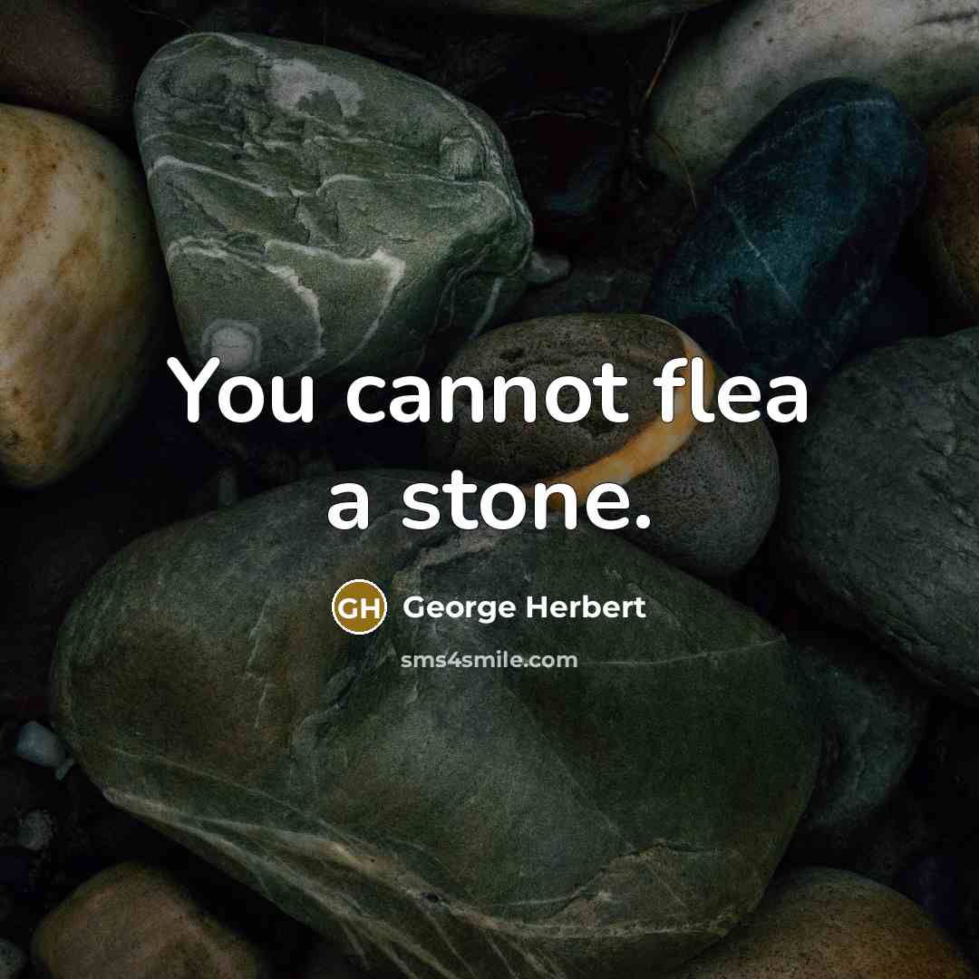 “You cannot flea a stone.” quote by George Herbert