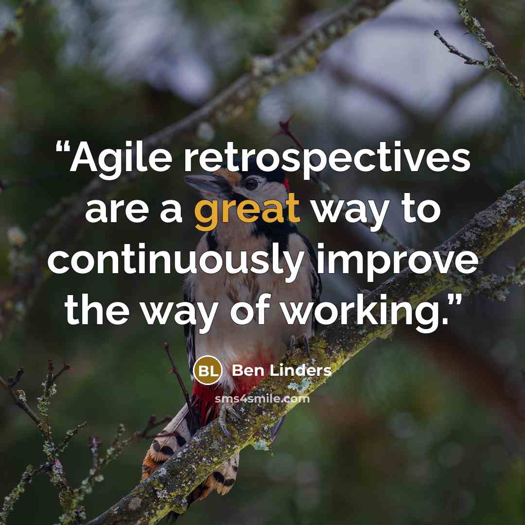 “Agile retrospectives are a great way to continuously improve the way of working.” quote by Ben Linders