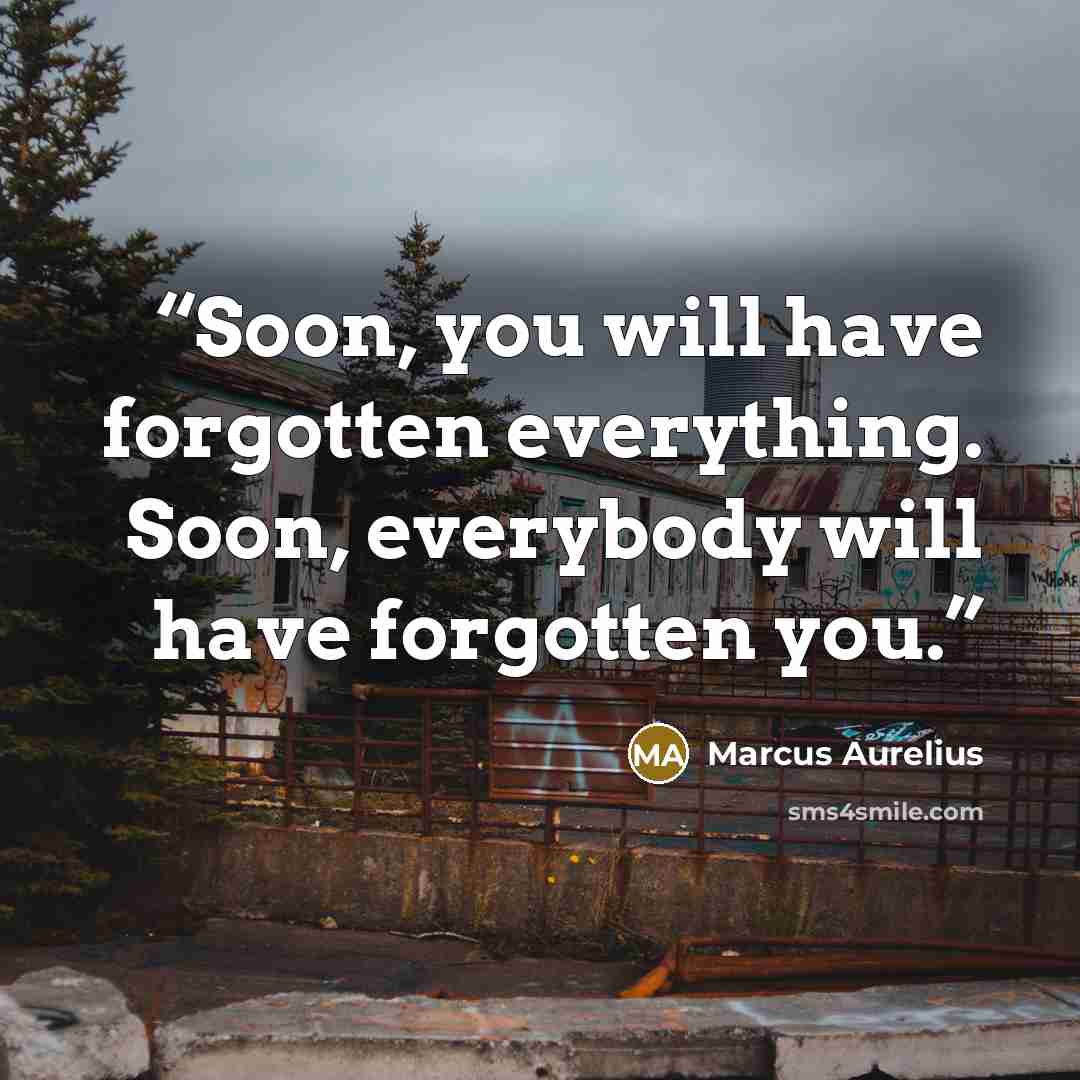 “Soon, you will have forgotten everything. Soon, everybody will have forgotten you.” quote by Marcus Aurelius