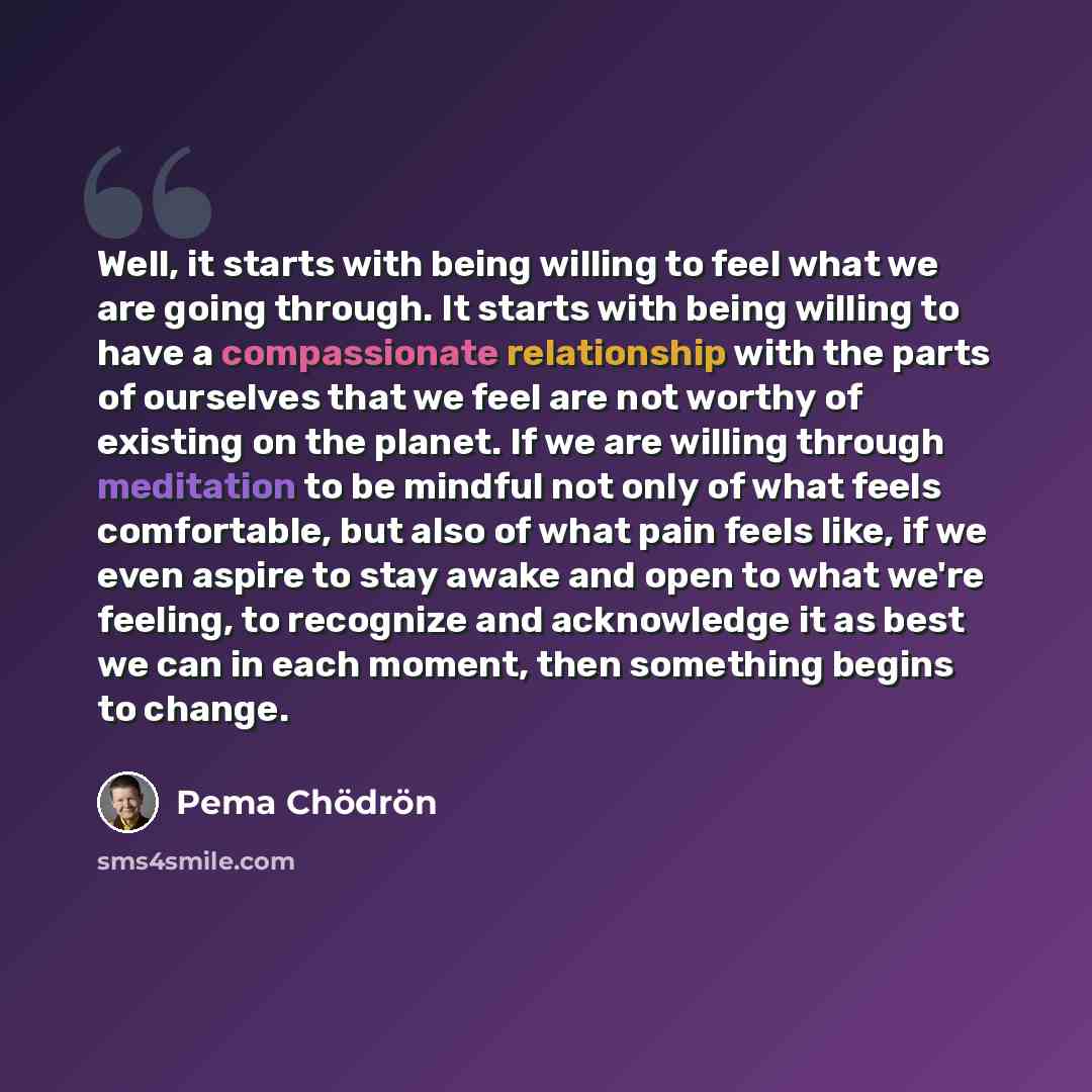 “Well, it starts with being willing to feel what we are going through. It starts with being willing to have a compassionate relationship with the parts of ourselves that we feel are not worthy of existing on the planet. If we are willing through meditation to be mindful not only of what feels…” quote by Pema Chodron