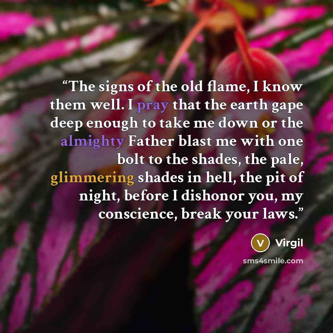 “The signs of the old flame, I know them well. I pray that the earth gape deep enough to take me down or the almighty Father blast me with one bolt to the shades, the pale, glimmering shades in hell, the pit of night, before I dishonor you, my conscience, break your laws.” quote by Virgil