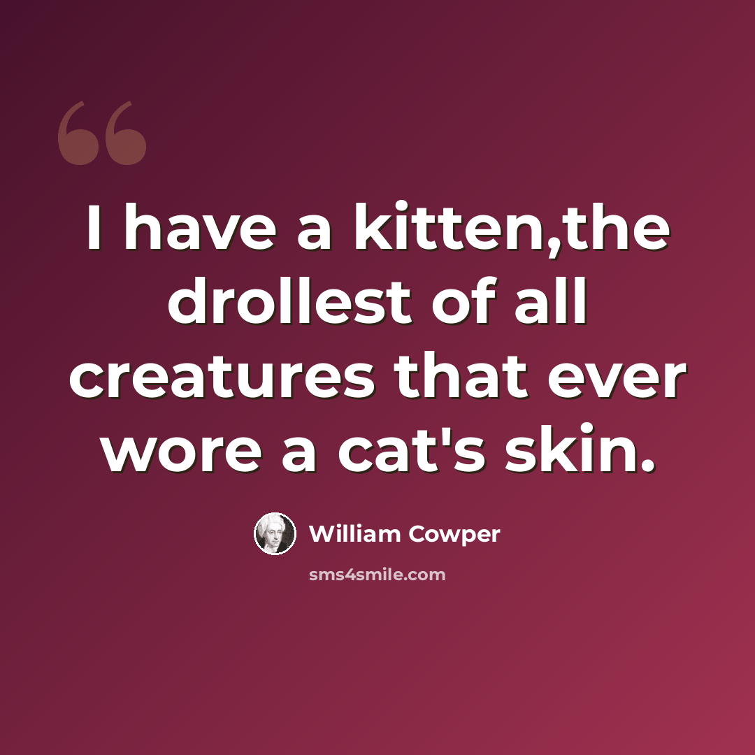 “I have a kitten,the drollest of all creatures that ever wore a cat's skin.” quote by William Cowper