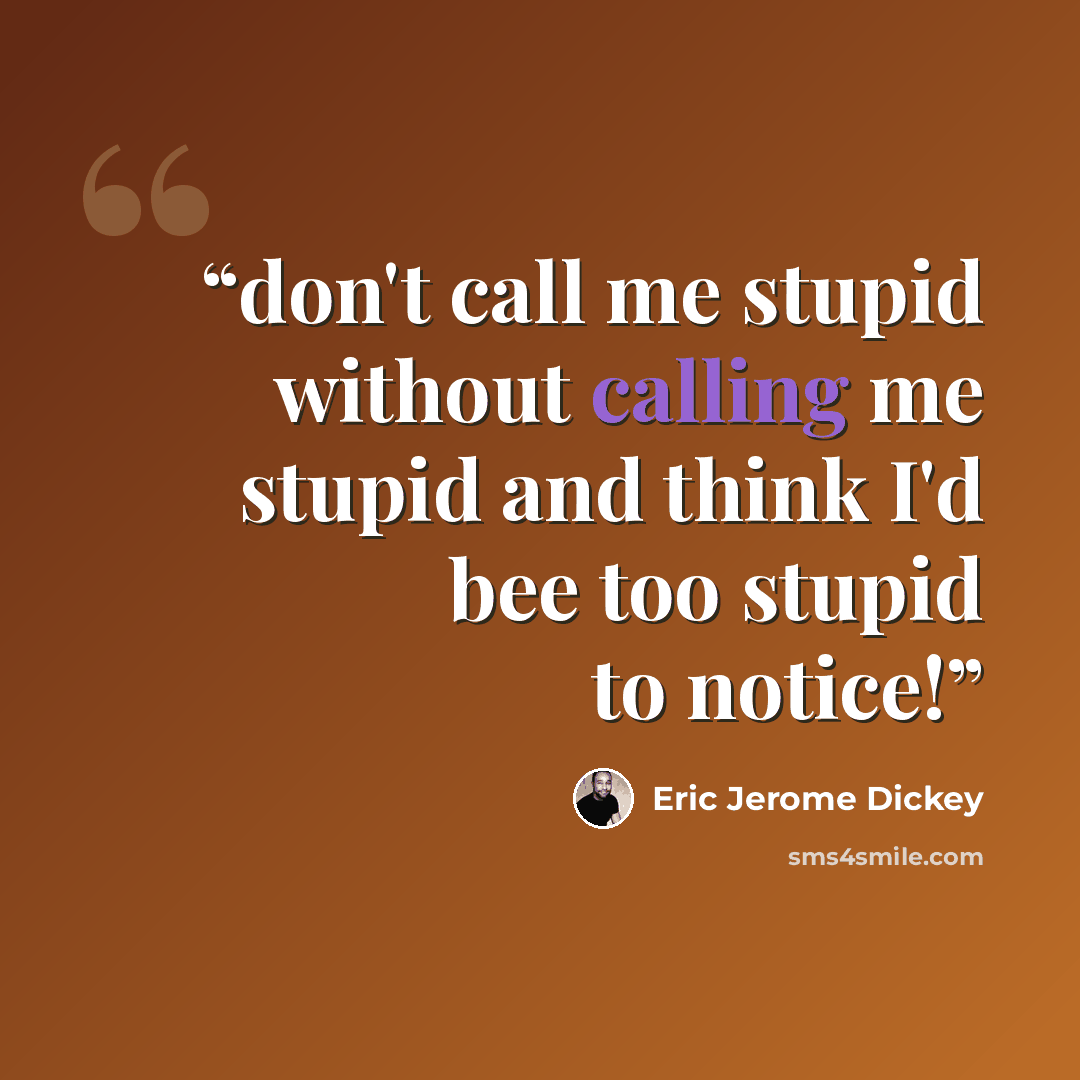 “don't call me stupid without calling me stupid and think I'd bee too stupid to notice!” quote by Eric Jerome Dickey
