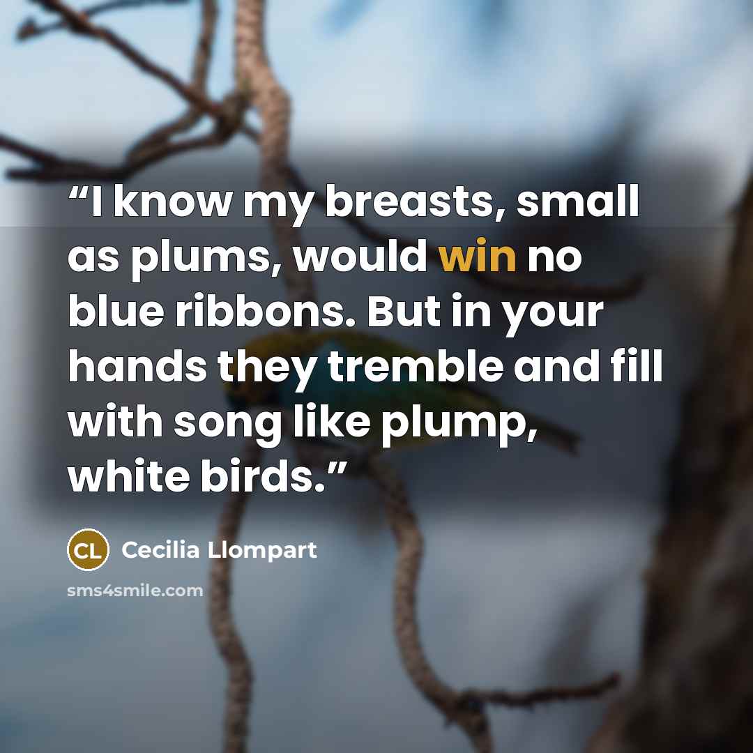 “I know my breasts, small as plums, would win no blue ribbons. But in your hands they tremble and fill with song like plump, white birds.” quote by Cecilia Llompart