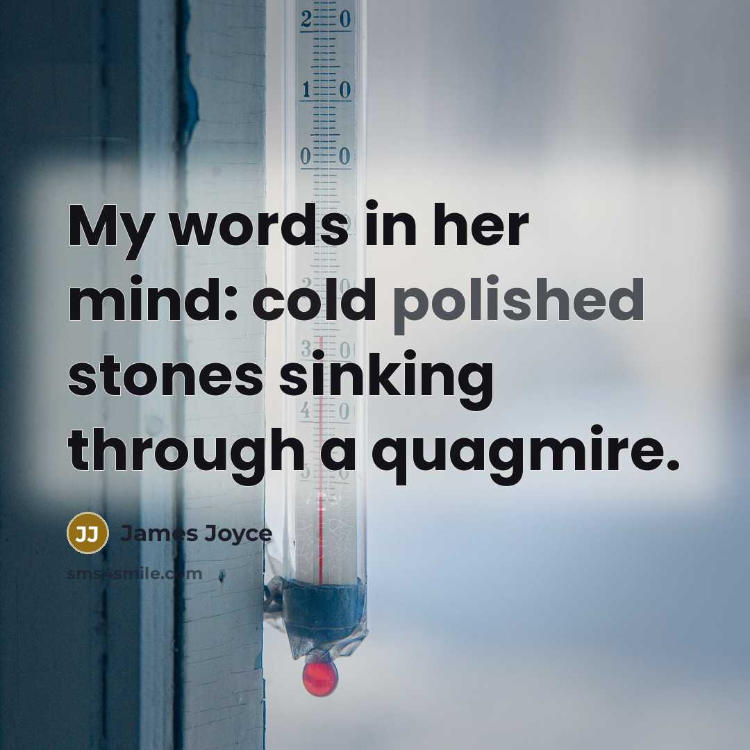 “My words in her mind: cold polished stones sinking through a quagmire.” quote by James Joyce