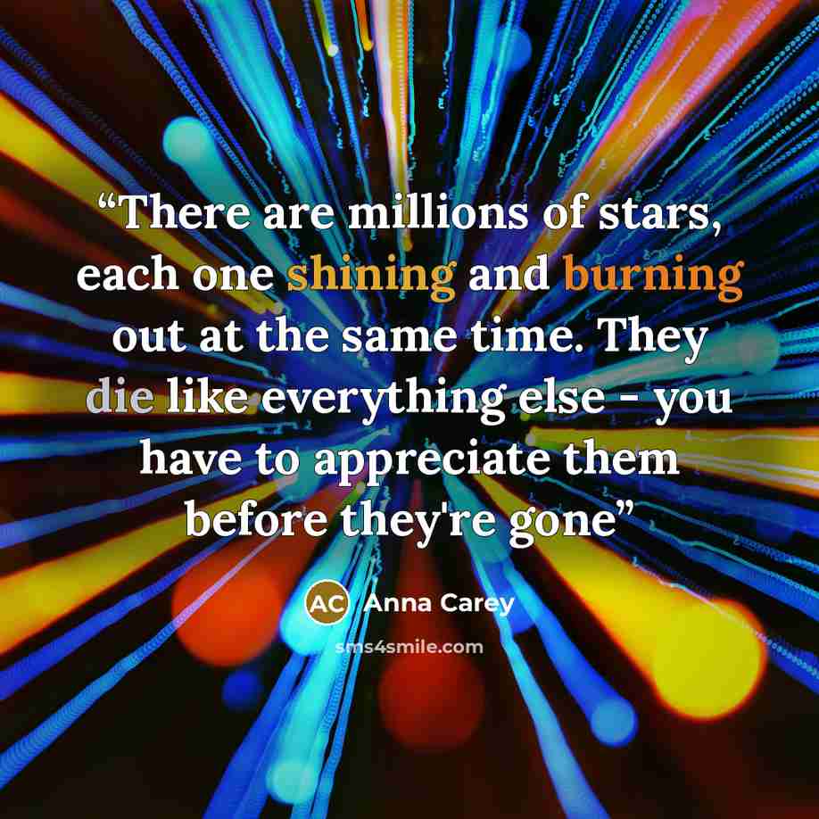 “There are millions of stars, each one shining and burning out at the same time. They die like everything else - you have to appreciate them before they're gone” quote by Anna Carey