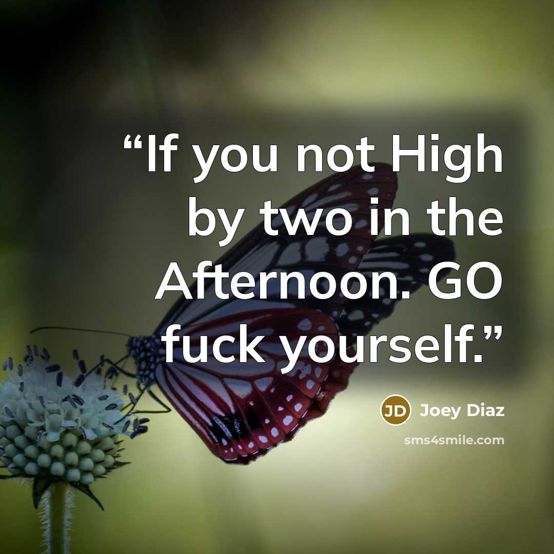 “If you not High by two in the Afternoon. GO fuck yourself.” quote by Joey Diaz
