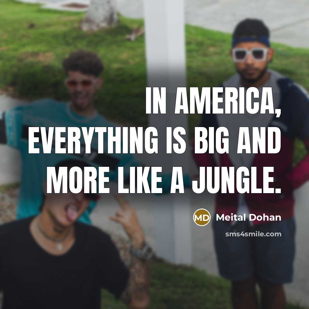 “In America, everything is big and more like a jungle.” quote by Meital Dohan