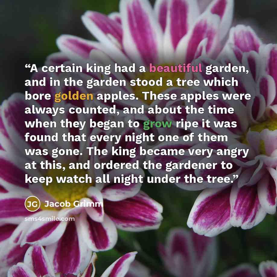 “A certain king had a beautiful garden, and in the garden stood a tree which bore golden apples. These apples were always counted, and about the time when they began to grow ripe it was found that every night one of them was gone. The king became very angry at this, and ordered the gardener to keep…” quote by Jacob Grimm
