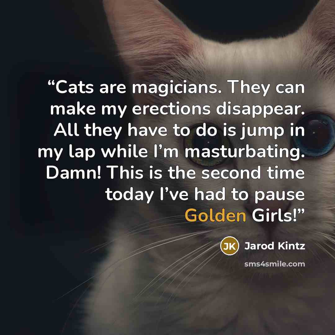 “Cats are magicians. They can make my erections disappear. All they have to do is jump in my lap while I’m masturbating. Damn! This is the second time today I’ve had to pause Golden Girls!” quote by Jarod Kintz