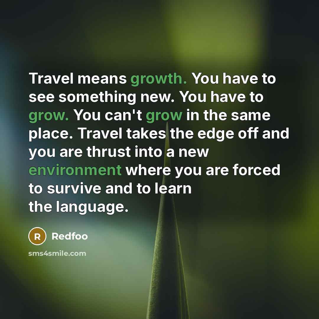“Travel means growth. You have to see something new. You have to grow. You can't grow in the same place. Travel takes the edge off and you are thrust into a new environment where you are forced to survive and to learn the language.” quote by Redfoo