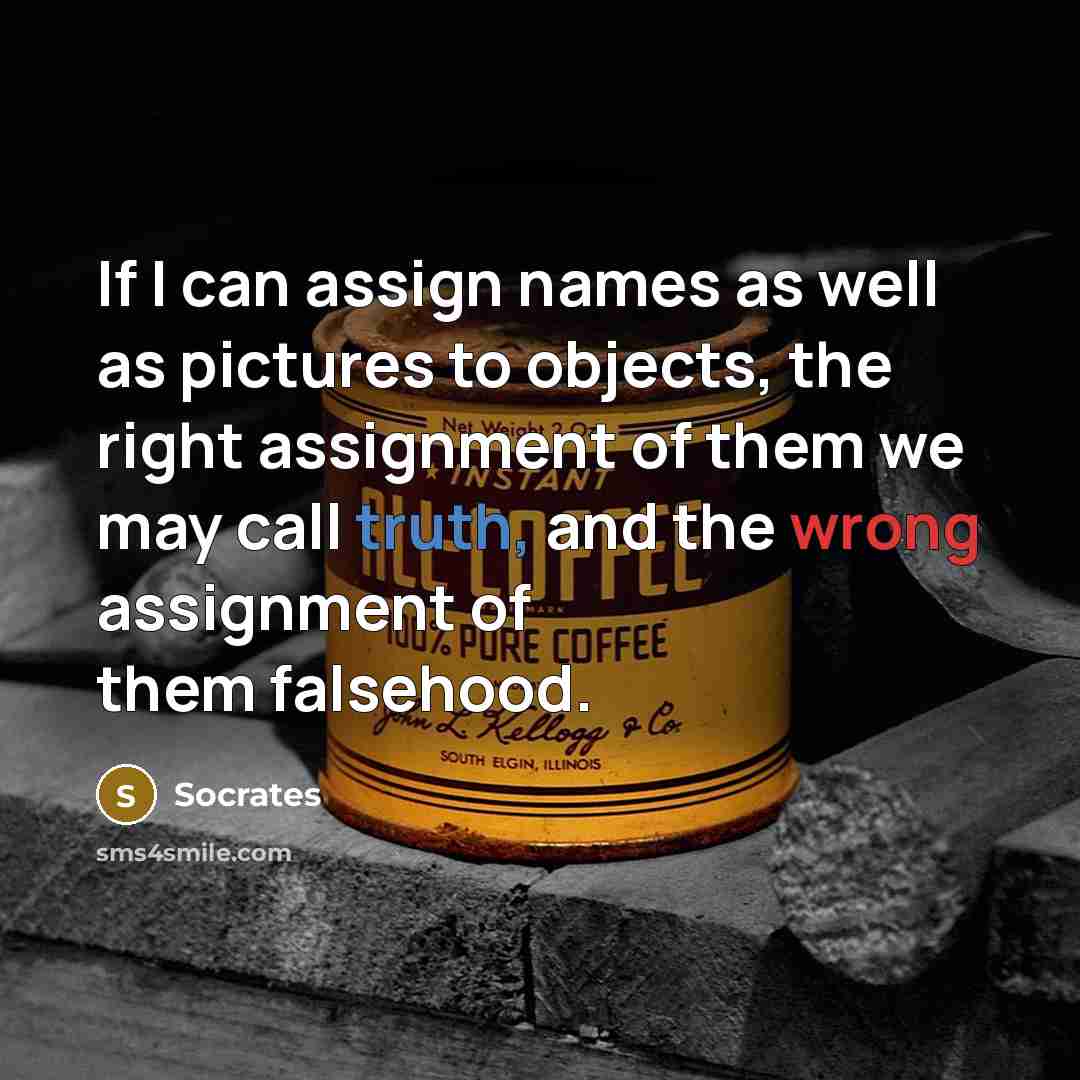 “If I can assign names as well as pictures to objects, the right assignment of them we may call truth, and the wrong assignment of them falsehood.” quote by Socrates