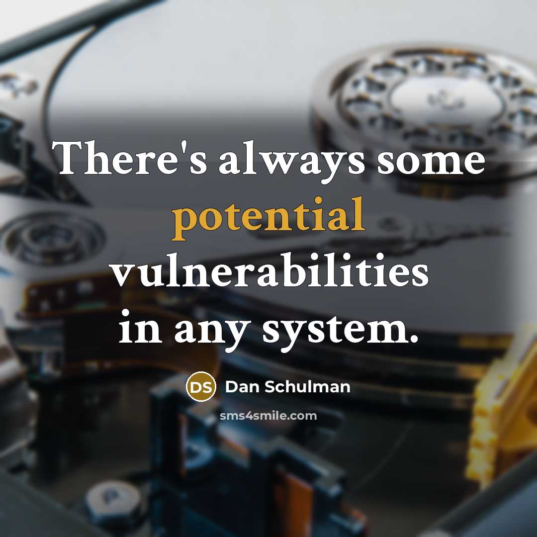 “There's always some potential vulnerabilities in any system.” quote by Dan Schulman