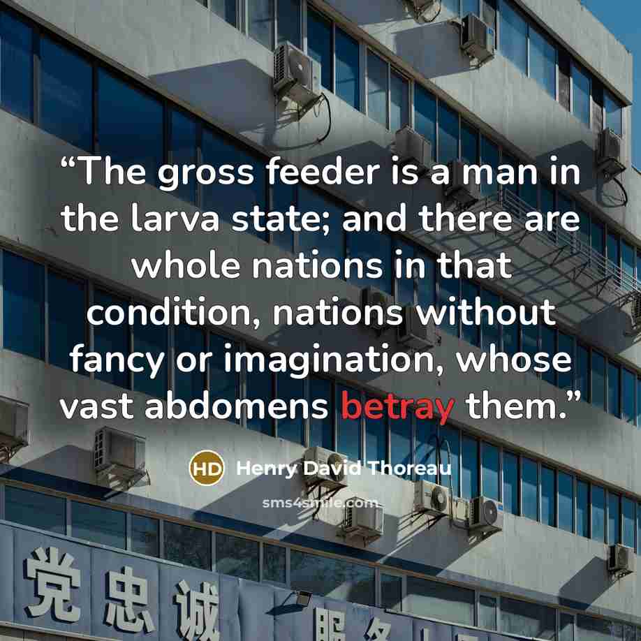 “The gross feeder is a man in the larva state; and there are whole nations in that condition, nations without fancy or imagination, whose vast abdomens betray them.” quote by Henry David Thoreau