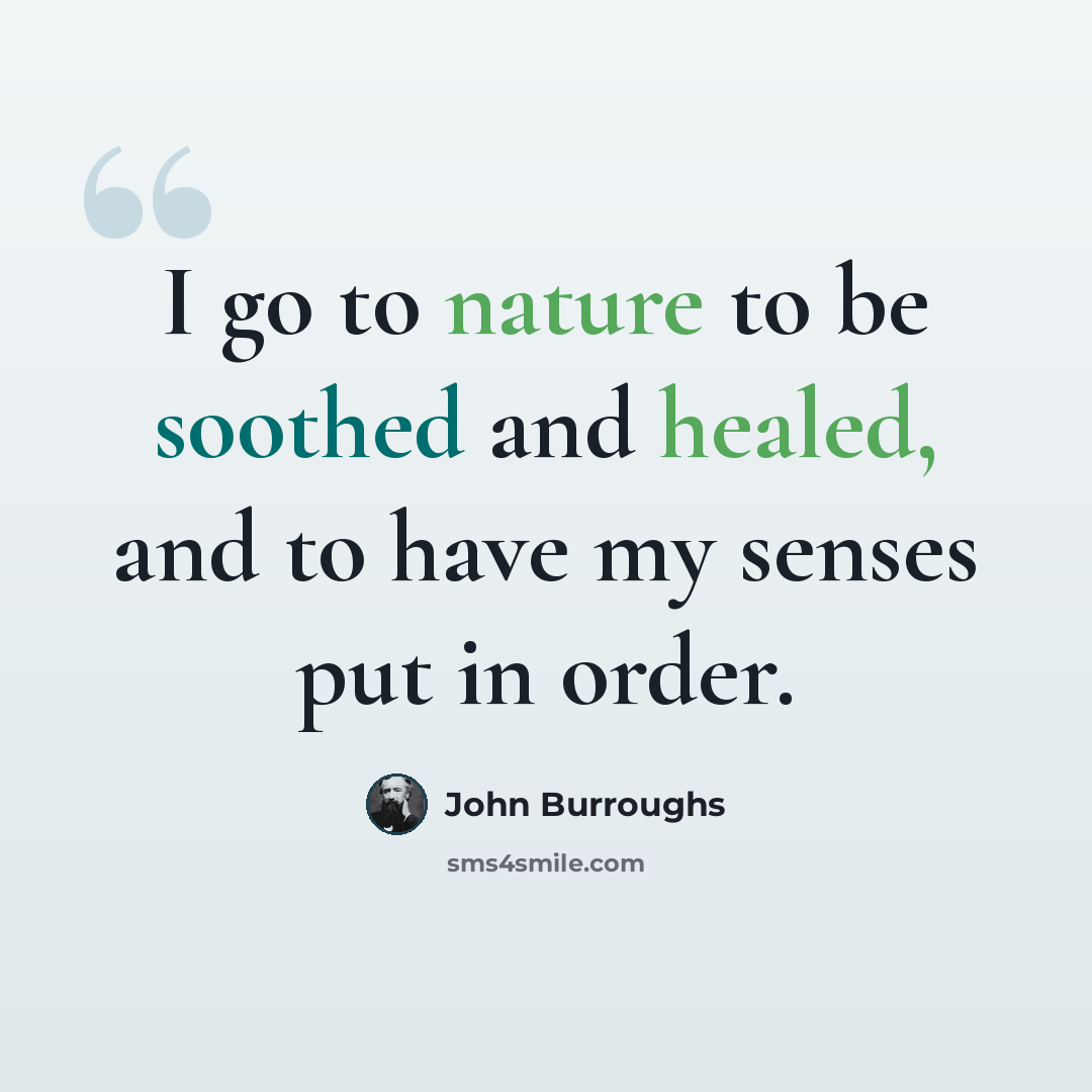 “I go to nature to be soothed and healed, and to have my senses put in order.” quote by John Burroughs