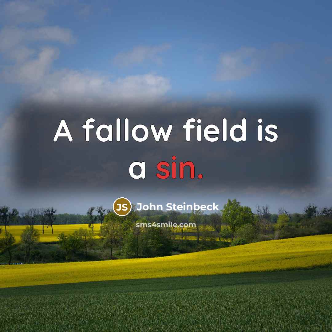 “A fallow field is a sin.” quote by John Steinbeck