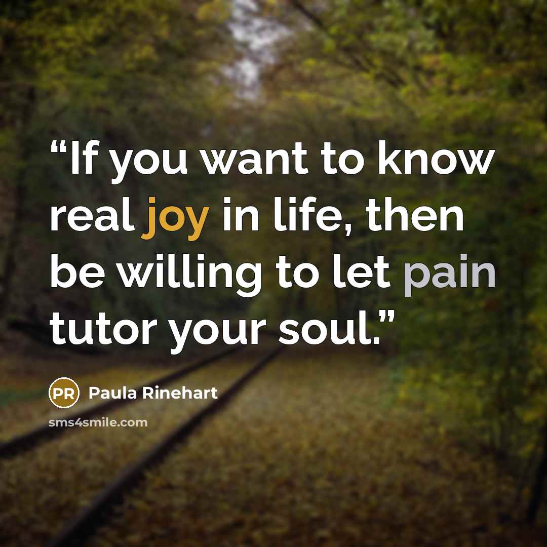 “If you want to know real joy in life, then be willing to let pain tutor your soul.” quote by Paula Rinehart
