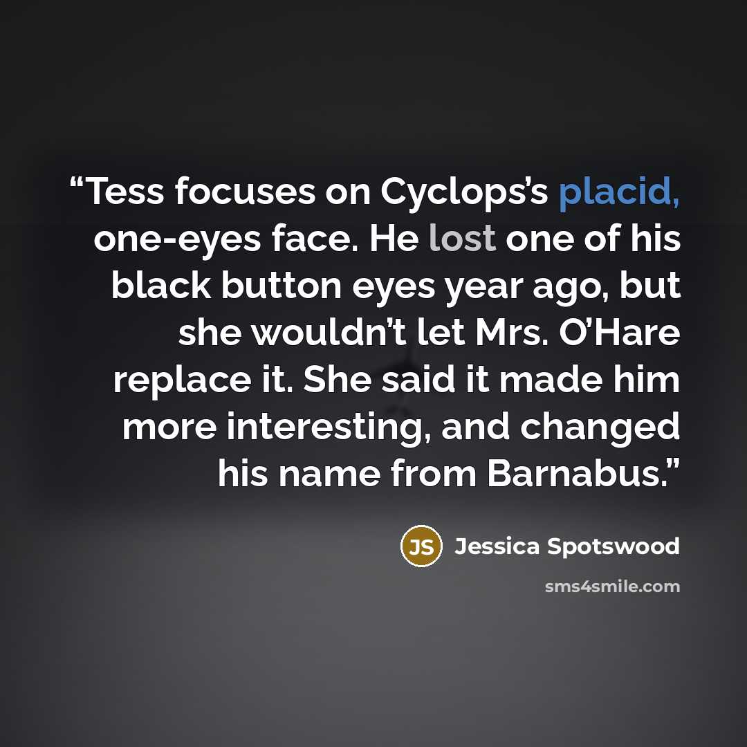 “Tess focuses on Cyclops’s placid, one-eyes face. He lost one of his black button eyes year ago, but she wouldn’t let Mrs. O’Hare replace it. She said it made him more interesting, and changed his name from Barnabus.” quote by Jessica Spotswood