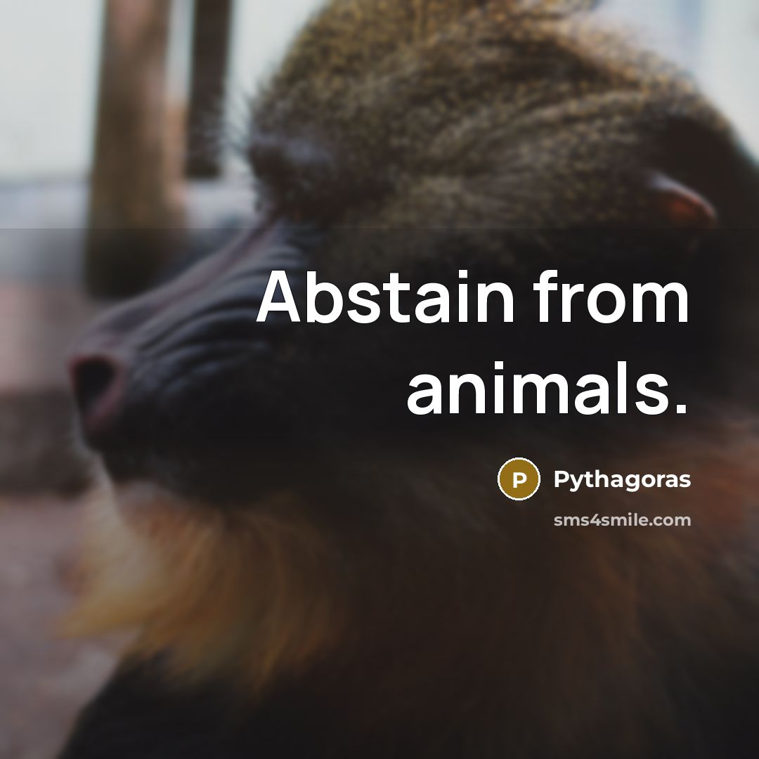 “Abstain from animals.” quote by Pythagoras
