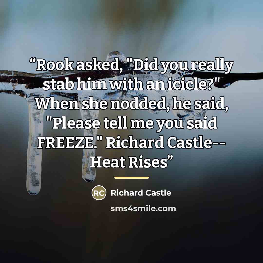“Rook asked, "Did you really stab him with an icicle?" When she nodded, he said, "Please tell me you said FREEZE." Richard Castle-- Heat Rises” quote by Richard Castle
