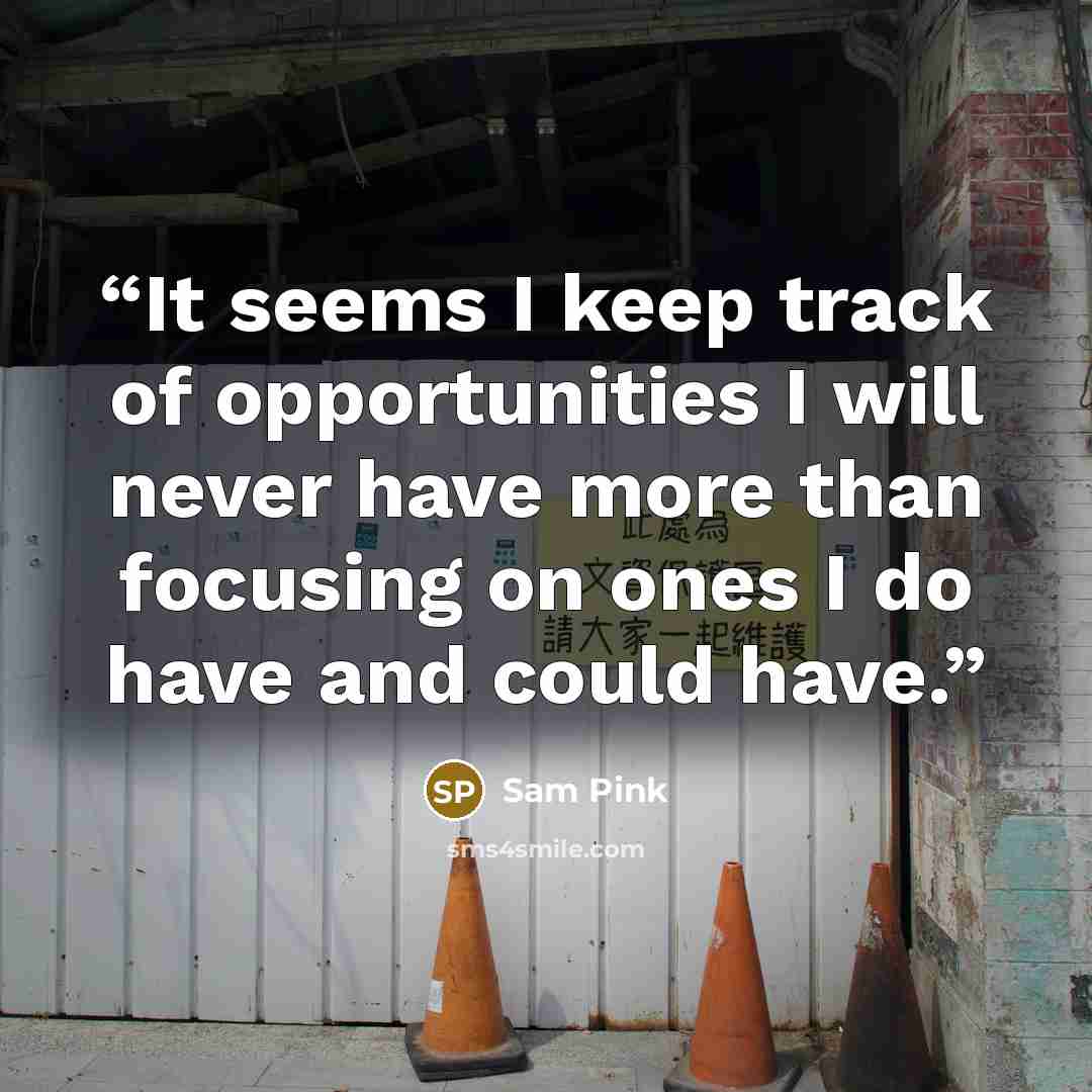 “It seems I keep track of opportunities I will never have more than focusing on ones I do have and could have.” quote by Sam Pink