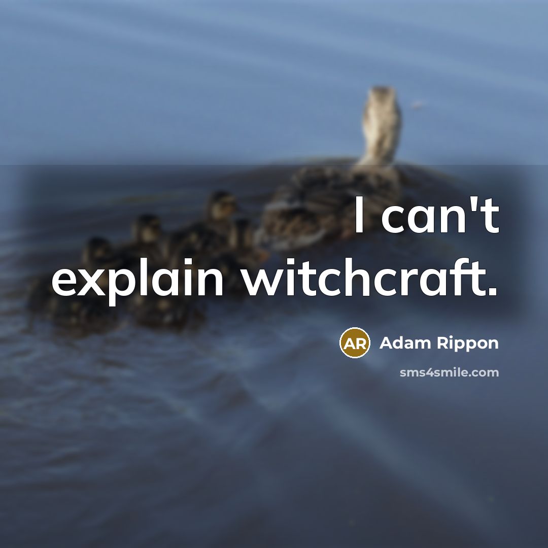 “I can't explain witchcraft.” quote by Adam Rippon